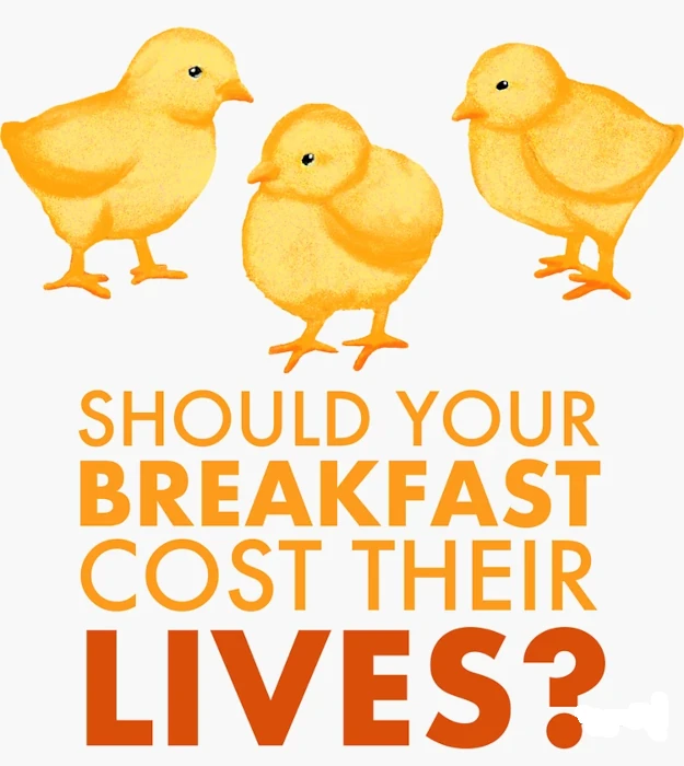 Vegan message sticker: