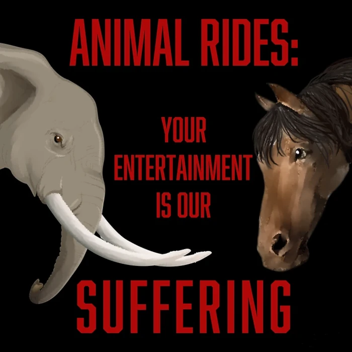 Vegan message sticker: