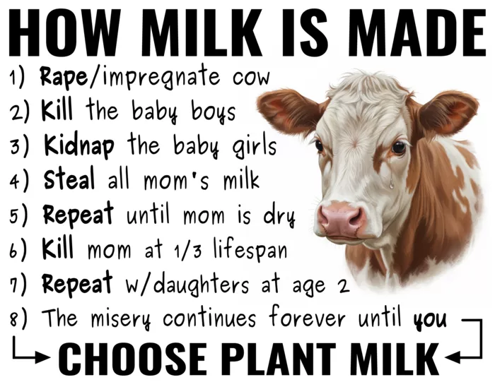 Vegan message sticker: How Milk Is Made