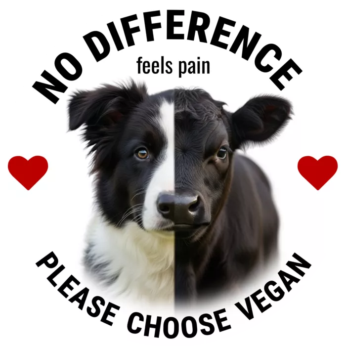Vegan message sticker: No Difference - Please Choose Vegan