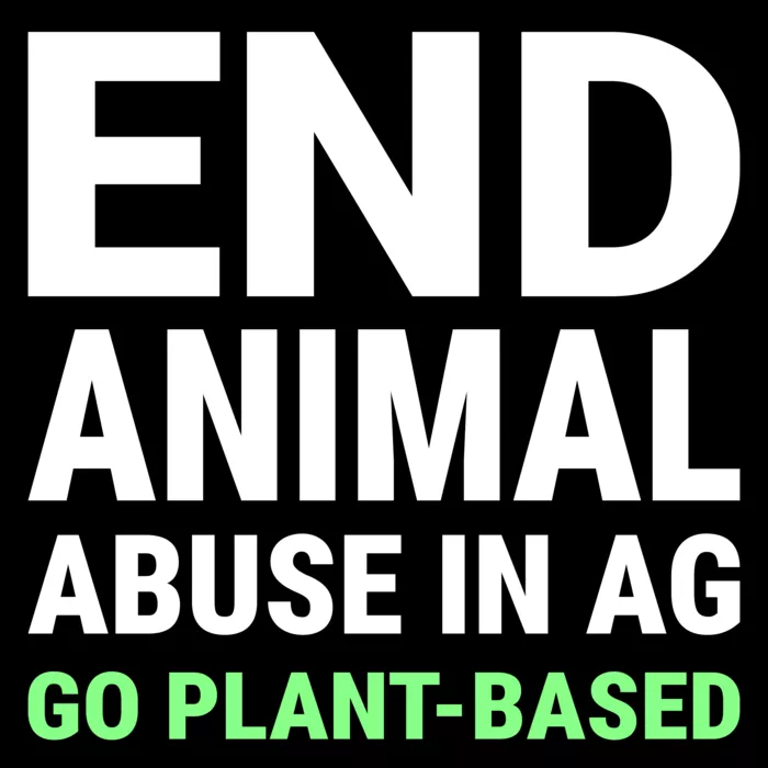 Vegan message sticker: End Animal Abuse In Ag - Go Plant Based
