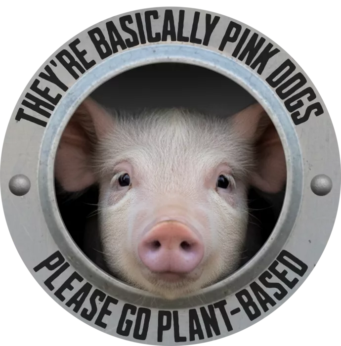 Vegan message sticker: Pigs Are Basically Pink Dogs - Please Go Plant Based