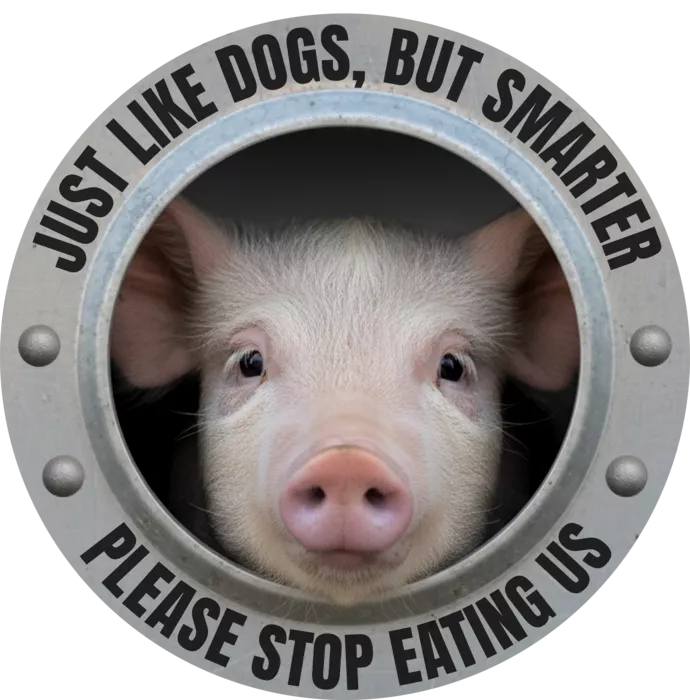 Vegan message sticker: Pigs Are Just Like Dogs But Smarter - Please Stop Eating Us