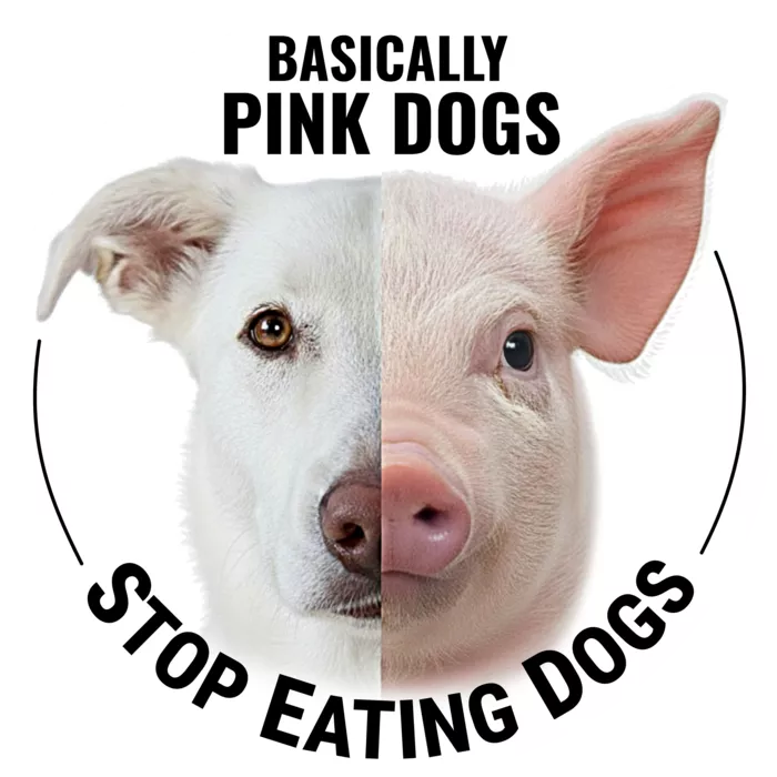 Vegan message sticker: Pigs Are Basically Pink Dogs - Stop Eating Dogs