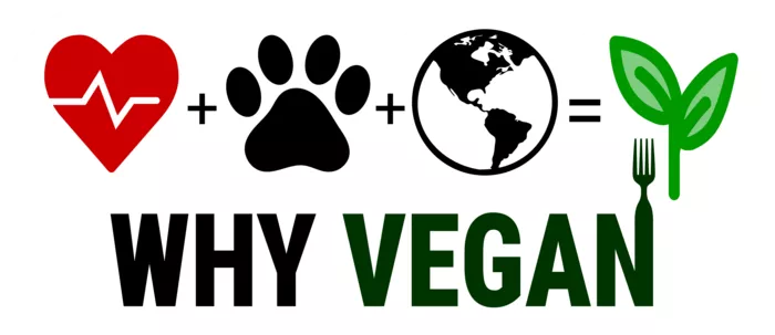 Vegan message sticker: Why Vegan