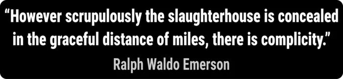 Vegan message sticker: Slaughterhouse Complicity Quote By Emerson